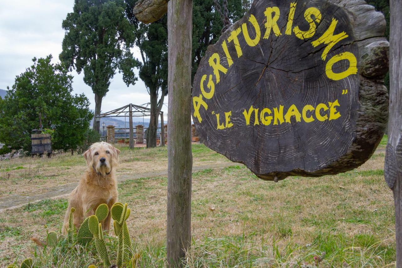 Agriturismo Le Vignacce Villa Santa Luce Eksteriør bilde