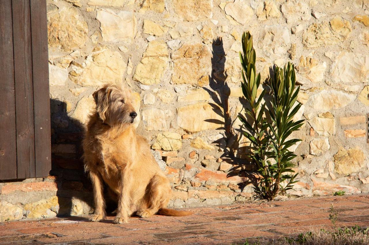 Agriturismo Le Vignacce Villa Santa Luce Eksteriør bilde